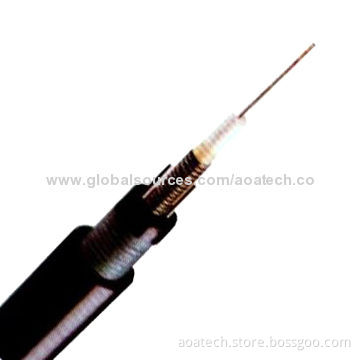 Outdoor Fiber Optic Cable with Armored and Sheathed Double Central Loose tubeNew